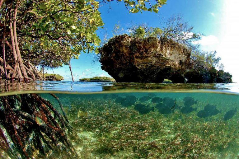 can you visit aldabra atoll